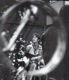 Trini's Apple Scruff Gallery