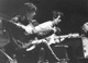 Trini's Apple Scruff Gallery